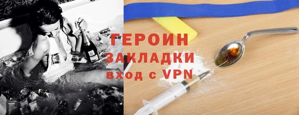 индика Няндома