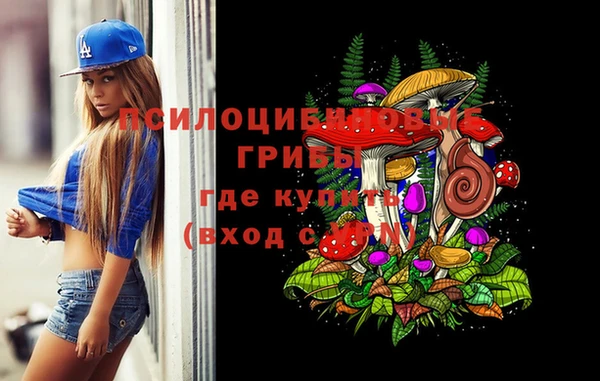 марки nbome Нязепетровск