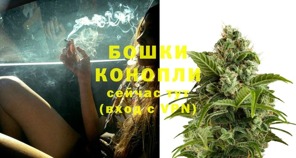 индика Няндома