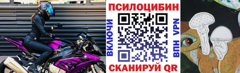 Псилоцибиновые грибы Psilocybine cubensis  Ковдор 
